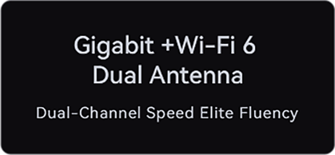 Gigabit +Wi-Fi 6 Dual Antenna