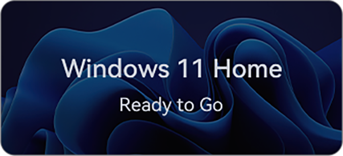 Windows 11